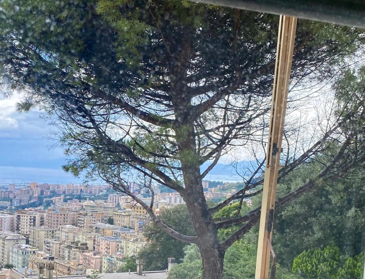 Genoa View & Hiking In Italian Riviera Génova Exterior foto