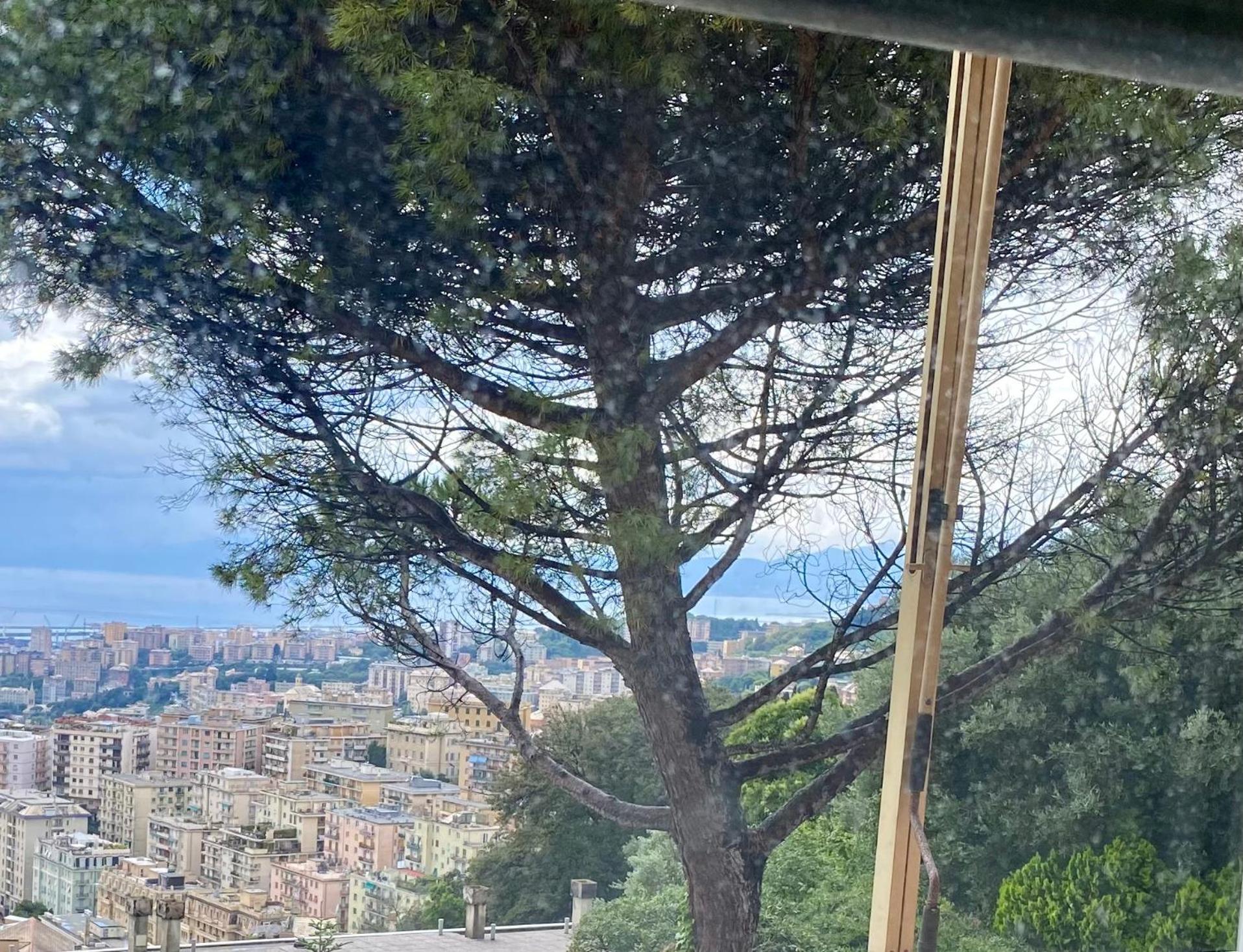 Genoa View & Hiking In Italian Riviera Génova Exterior foto